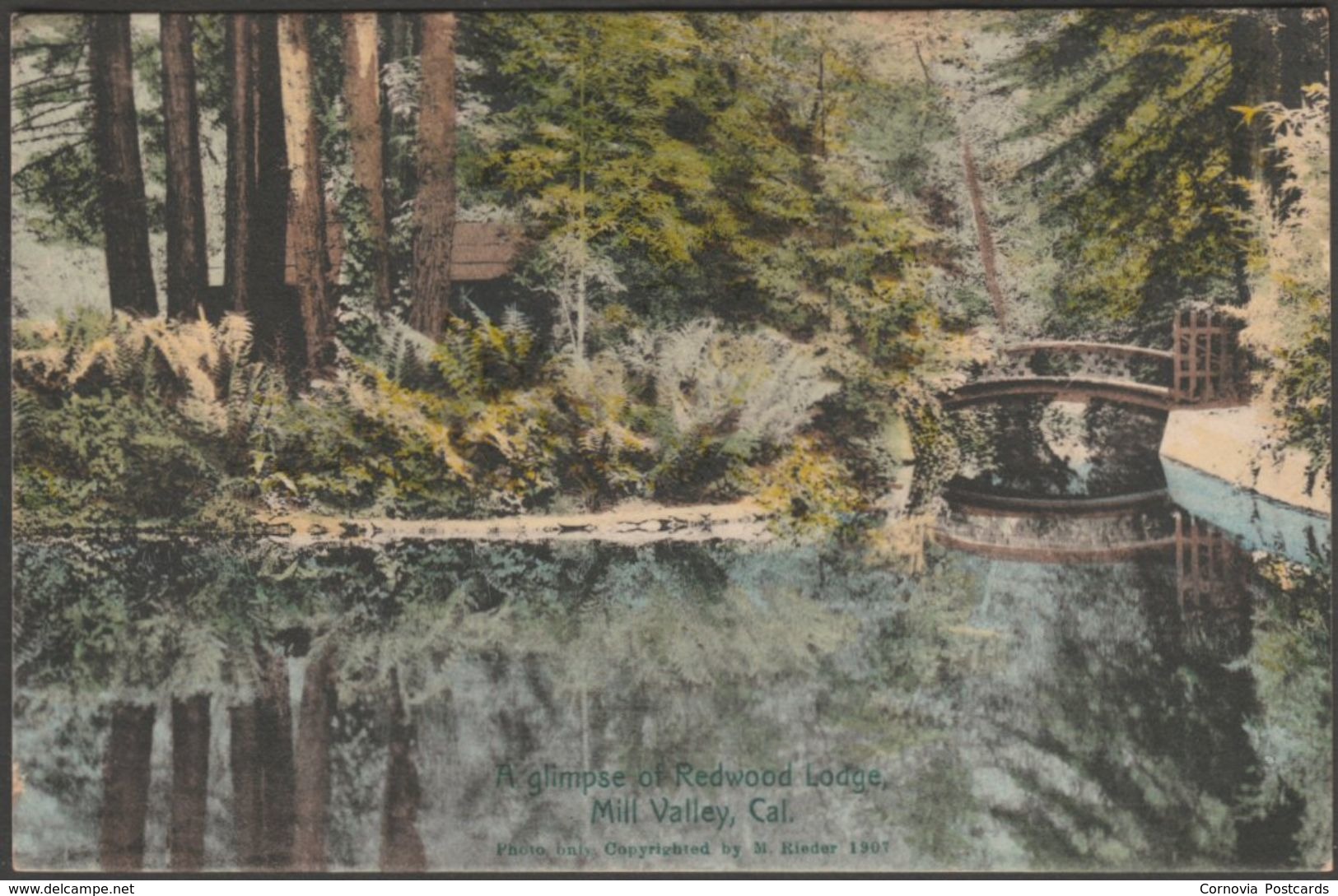 Redwood Lodge, Mill Valley, California, 1907 - Reimann Postcard - Other & Unclassified