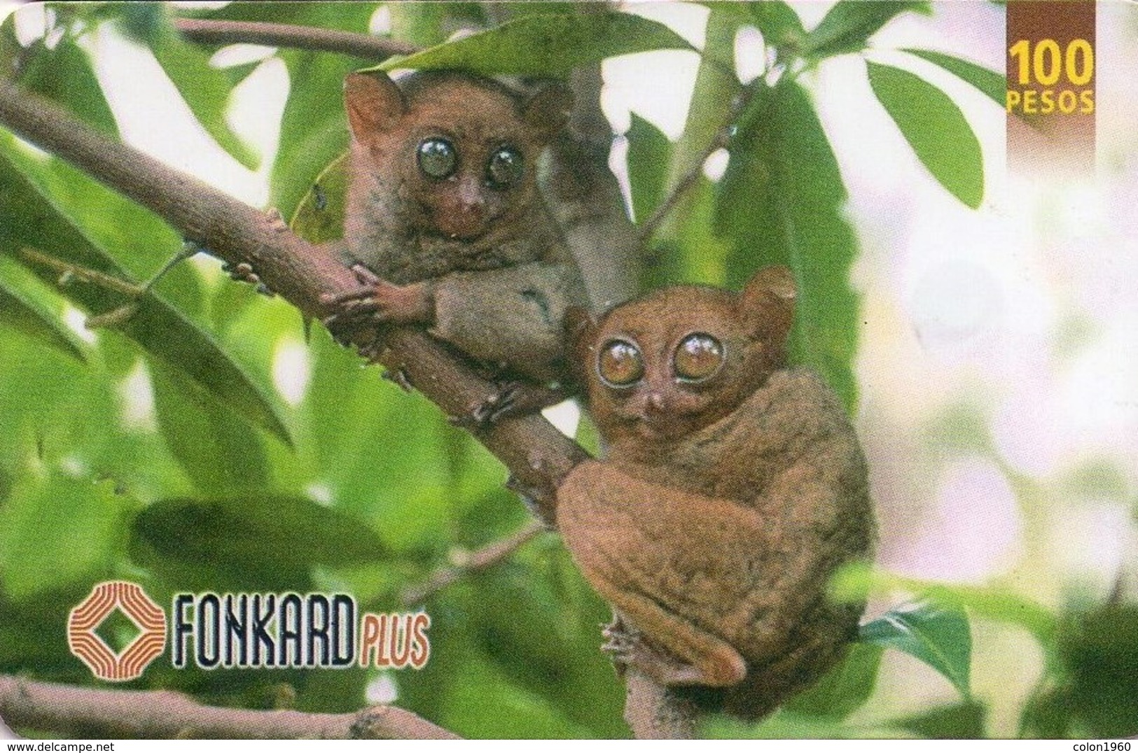 FILIPINAS. PH-PLDT-0024B. Fauna - Philippine Tarsiers. (Exp 08.31.2000). (030) - Filippijnen