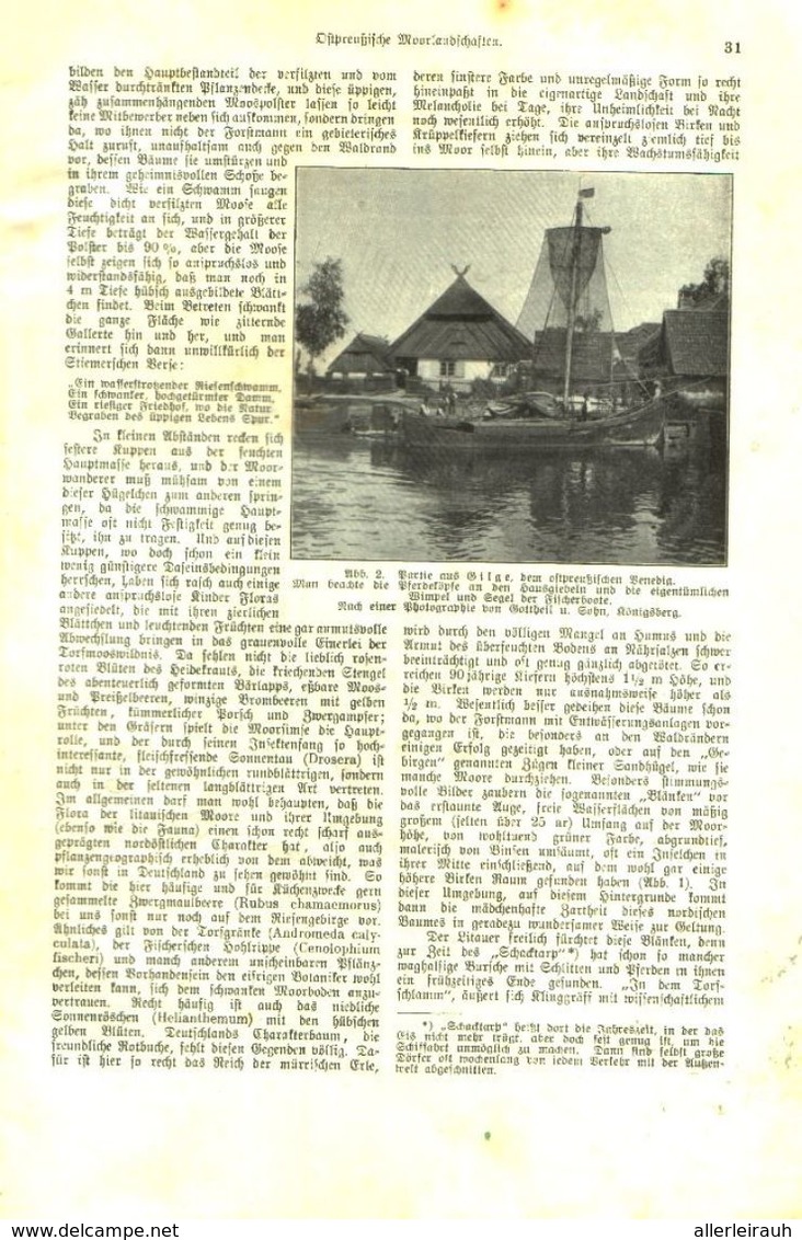 Ostpreußische Moorlandschaften / Artikel, Entnommen Aus Kalender /1909 - Bücherpakete