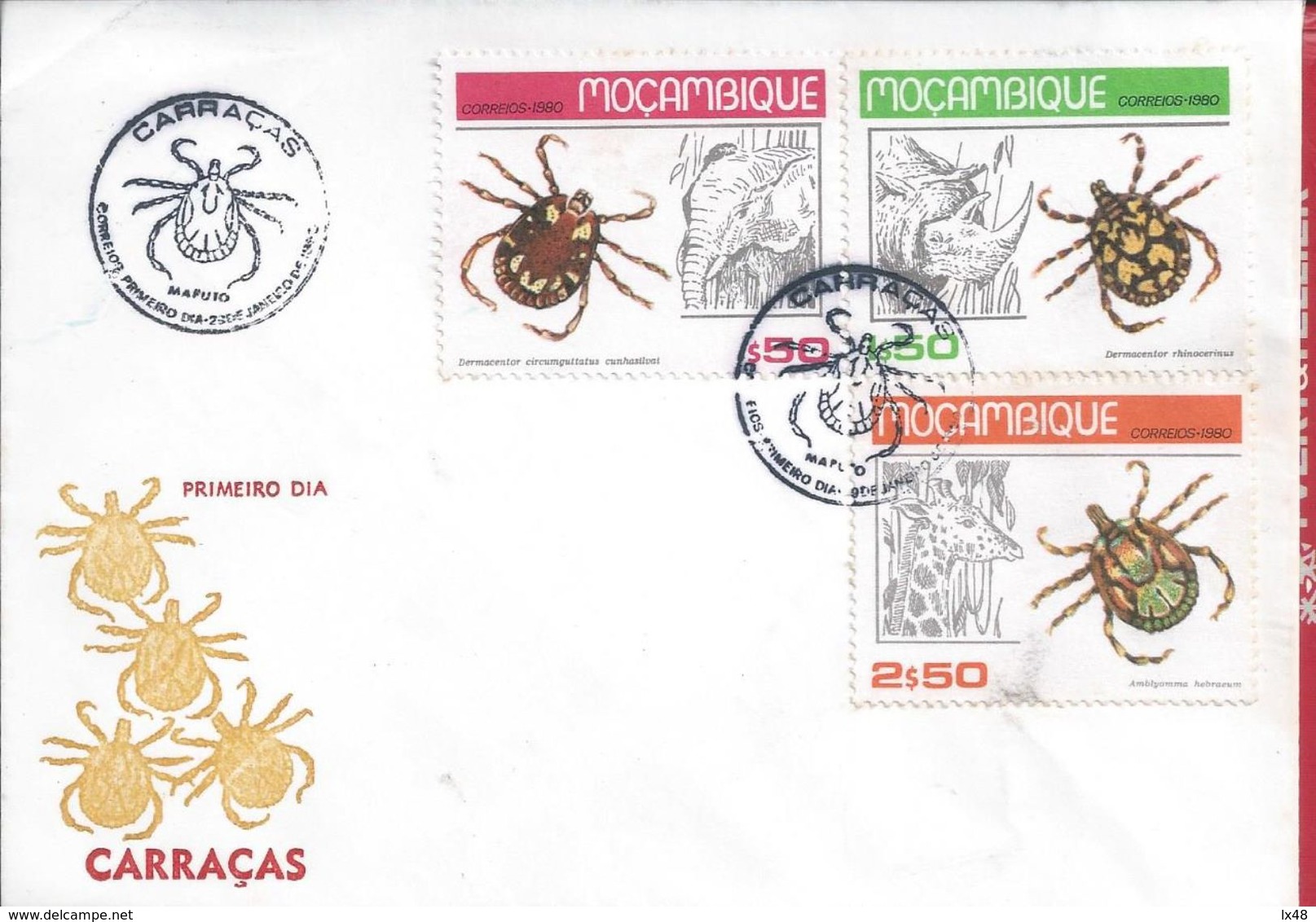 Ticks.Animal Dermacentor.Elephant.Giraffe.Hipoppotamus.Zecken.Tier Dermacentor.Elefant.Giraffe.Nilpferd.Carraças.Maputo. - Spiders