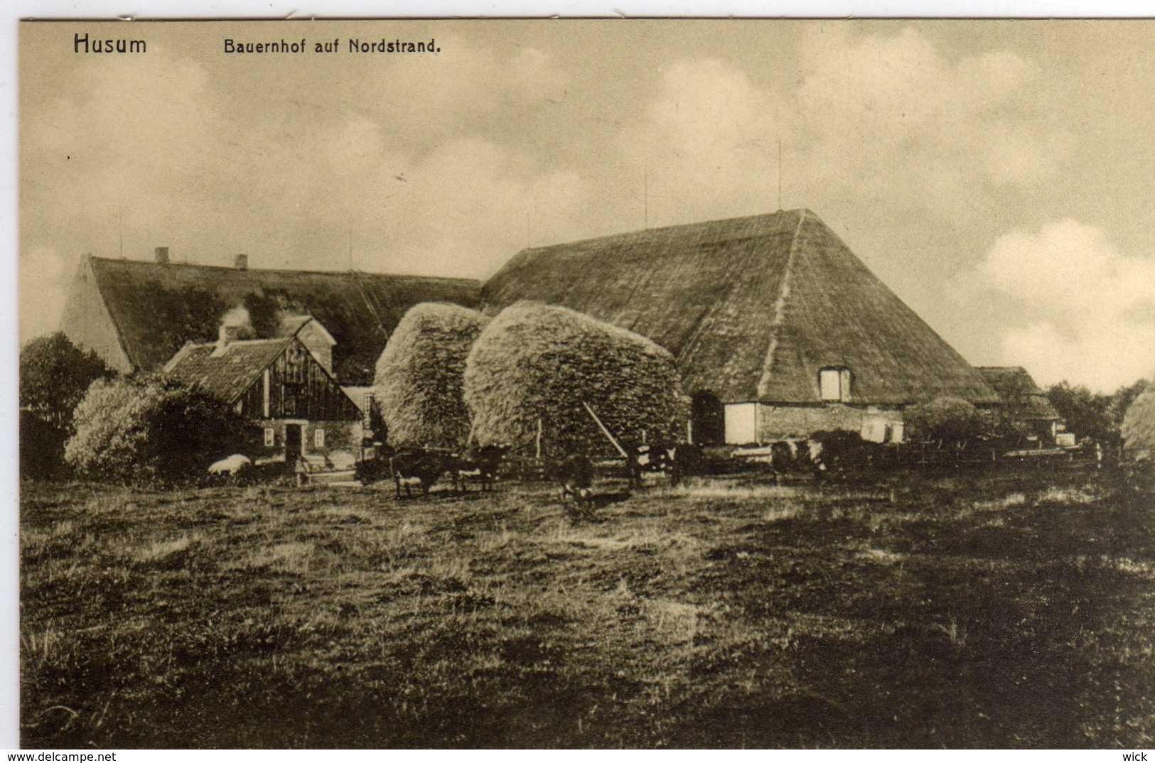 AK Husum -"BAUERNHOF AUF NORDSTRAND"     -selten !!! - Husum