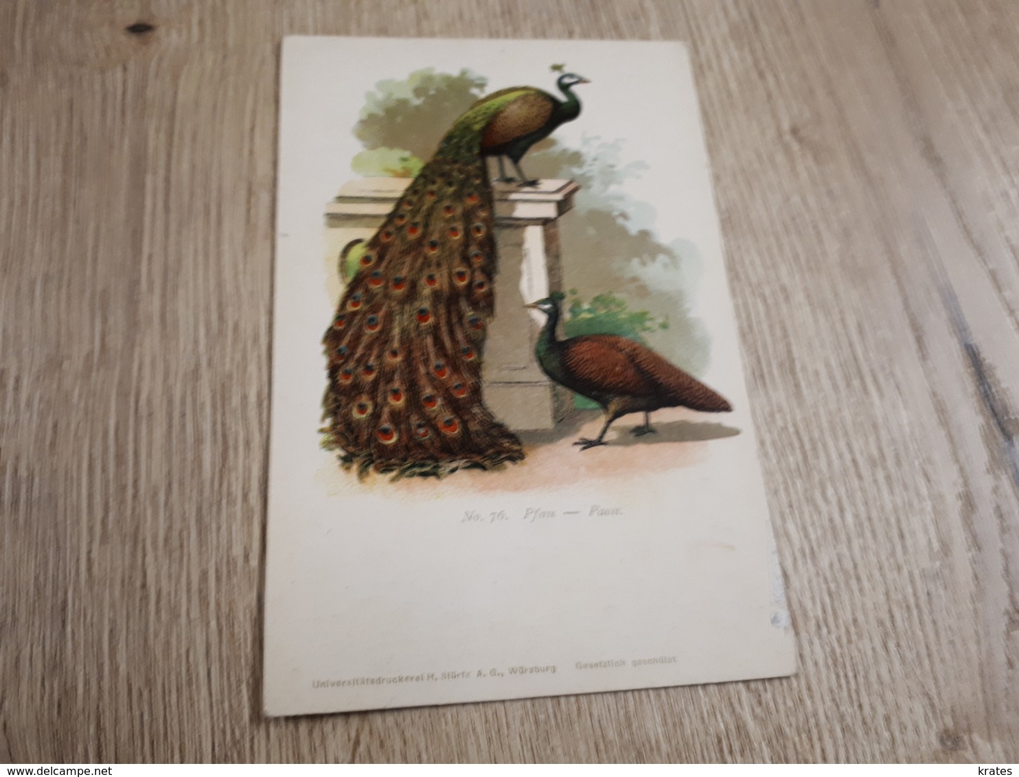 Postcard - Birds      (26529) - Uccelli