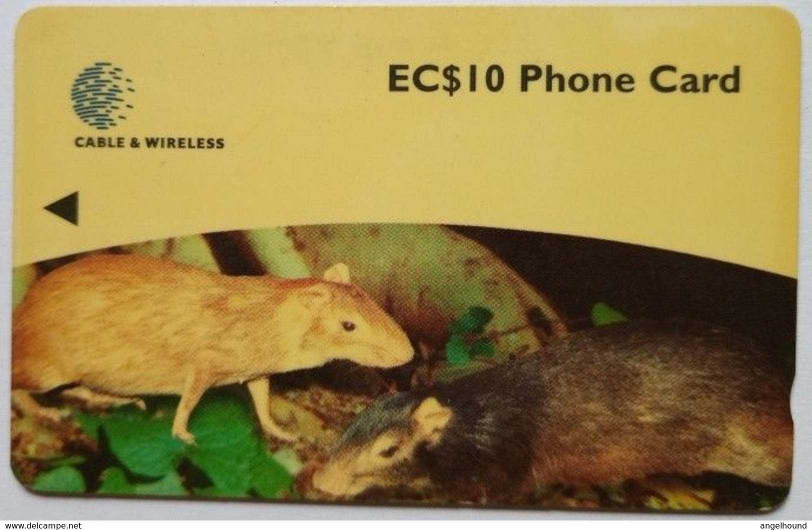 Dominica Cable And Wireless 248CDMA  EC$10 "Agouti (Mouse) " - Dominique