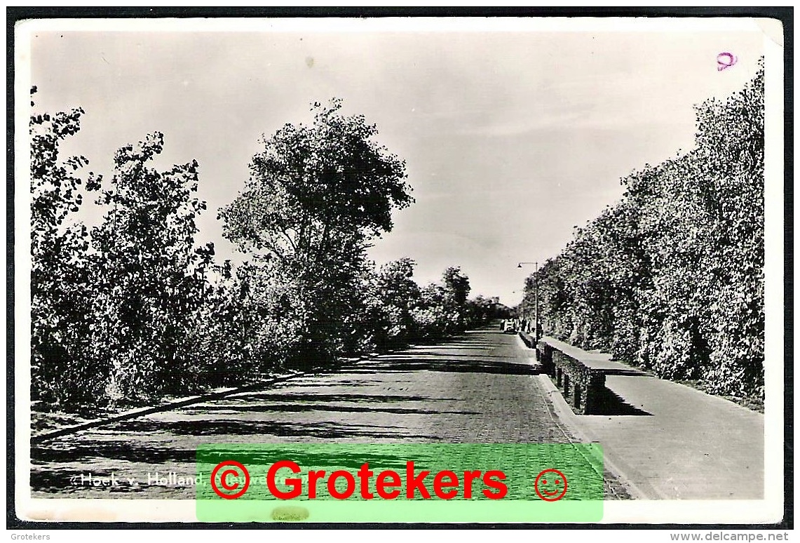 HOEK VAN HOLLAND Nieuwe Weg Ca 1955 - Hoek Van Holland