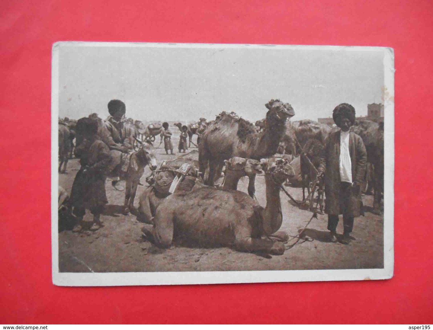 MERV Turkestan 1930x Types, Caravan Of Camels On Vacation. Russian Postcard. - Turkmenistan
