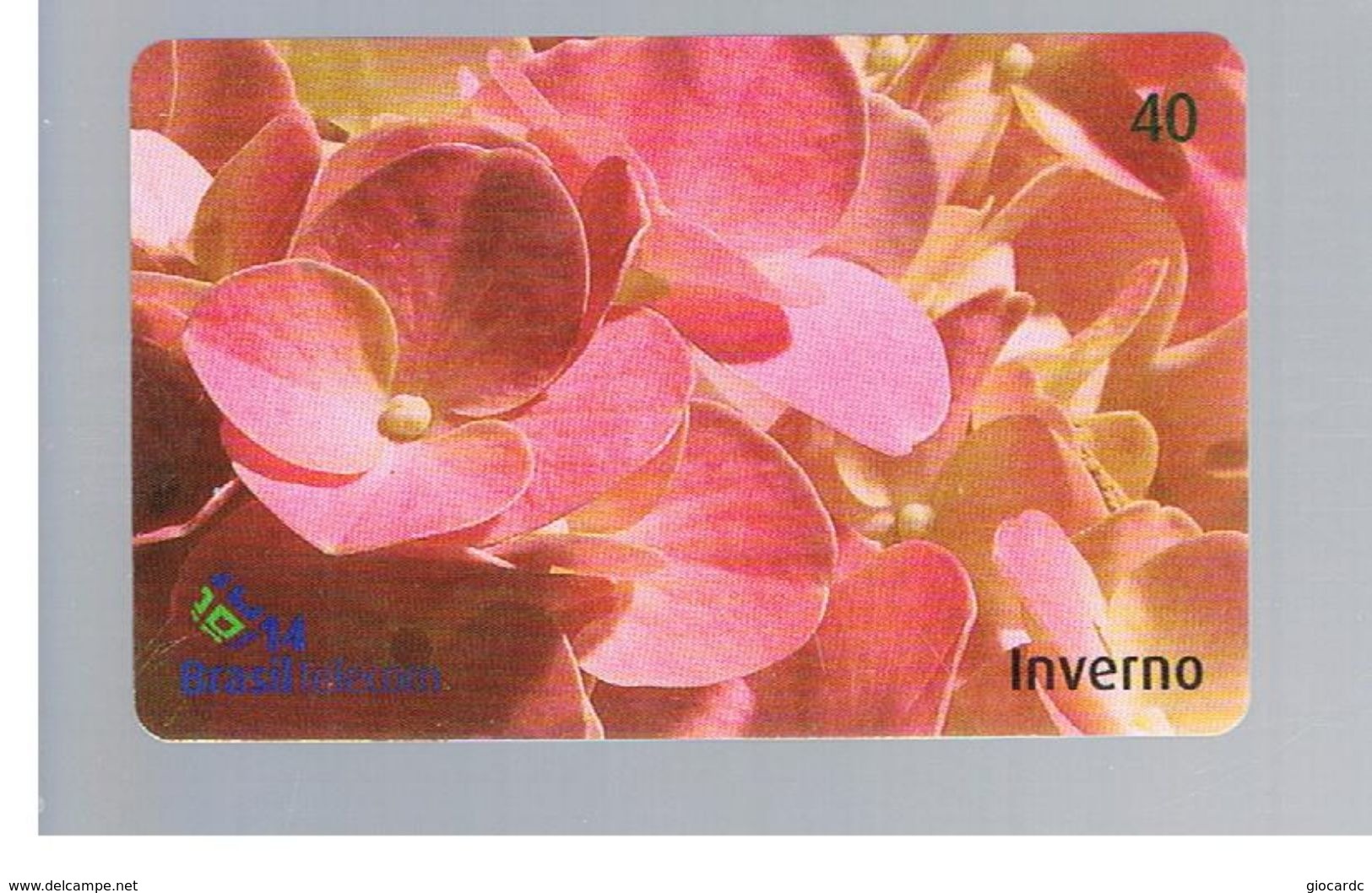BRASILE ( BRAZIL) - BRASILTELECOM   - 2004   FLOWERS: HYDRANGEA HORTENCIS                - USED - RIF.10480 - Fleurs