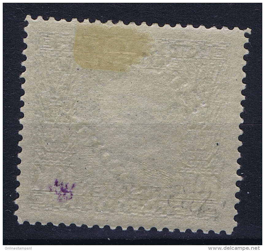 Austria Feldpost  Mi 21 MH/* Flz/ Charniere 1915 - Ungebraucht