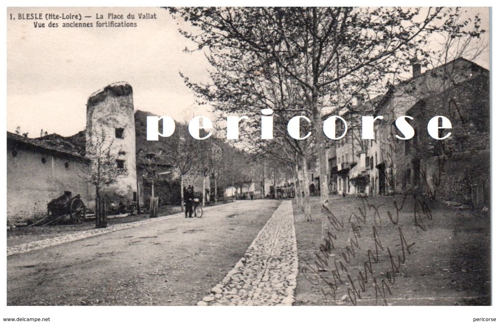 43   Blesle  La Place Du Vallat - Blesle