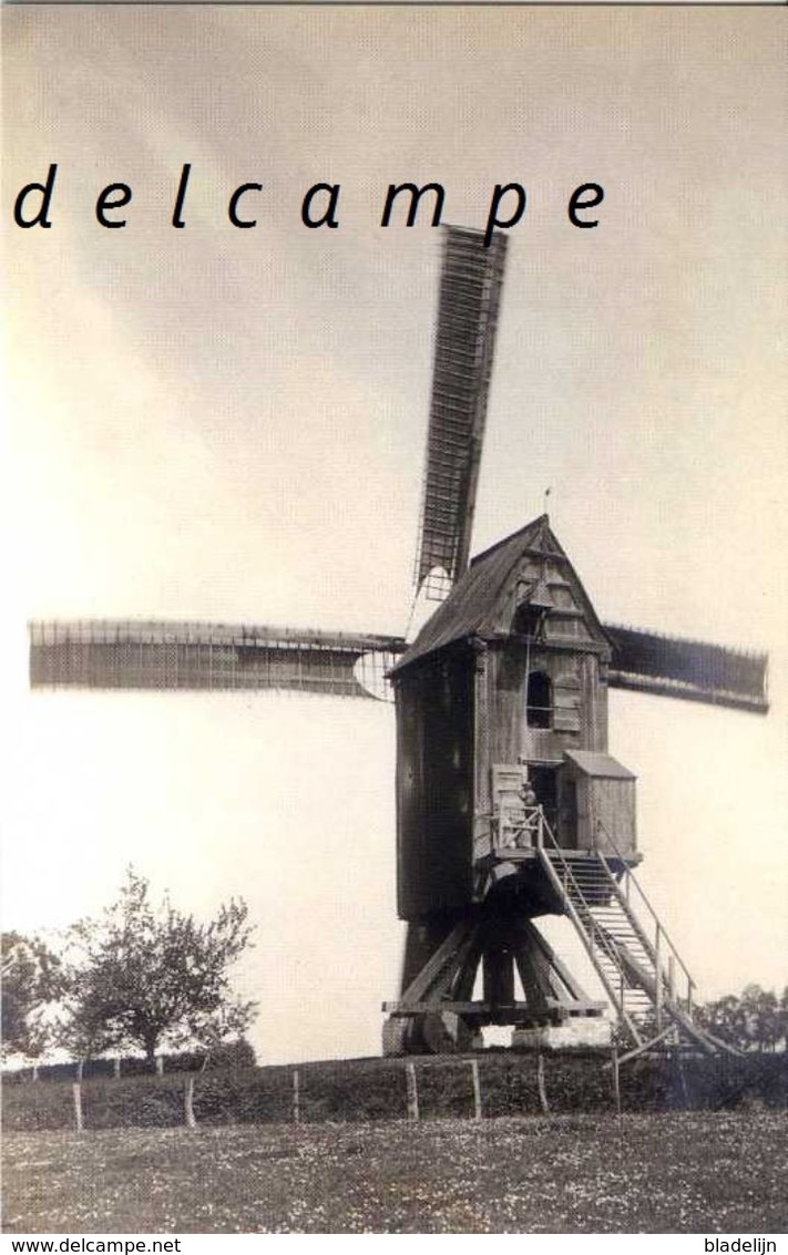 BRUSSEGEM - Merchtem (Vlaams-Brabant) - Molen/moulin - Fraaie Opname Van De Brussegemmolen, Vernield In 1914 - Merchtem