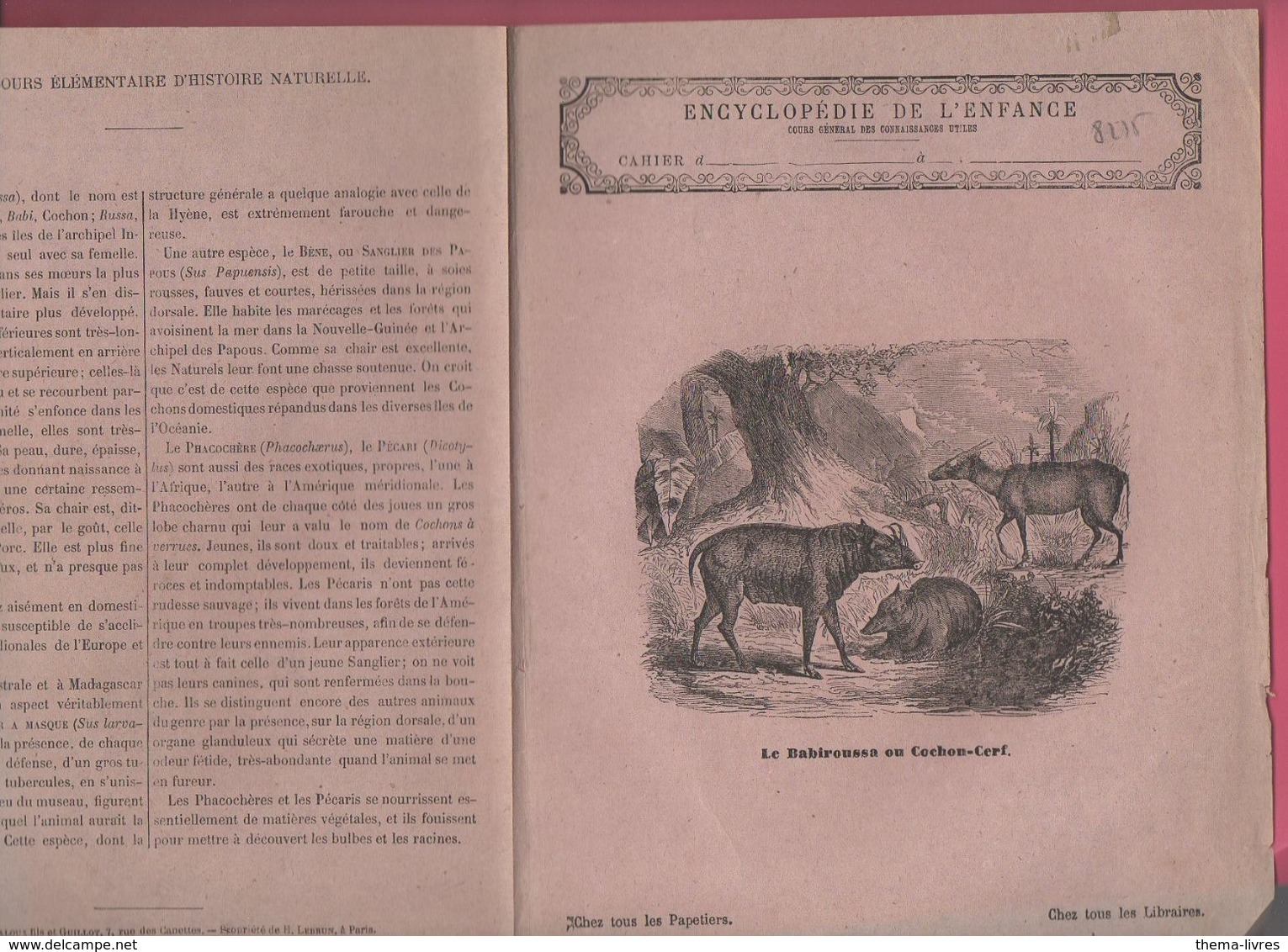 Couverture Illustrée De Cahier D'écolier : Encyclopédie De L'enfance N°40 Le Babiroussa Ou Cochon Cerf (M2276) - Protège-cahiers