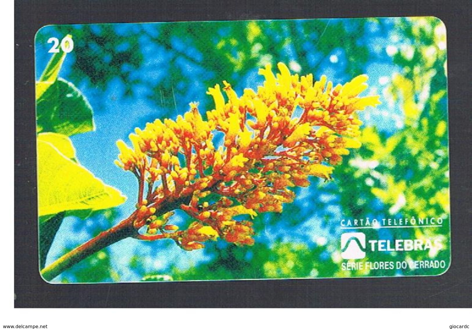 BRASILE ( BRAZIL) - TELEBRAS   -   1995 PLANTS: PALICOUREA   - USED - RIF.10487 - Fleurs