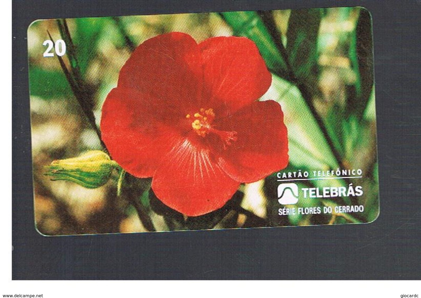 BRASILE ( BRAZIL) - TELEBRAS   -   1995 PLANTS: PAVONIA   - USED - RIF.10488 - Fleurs