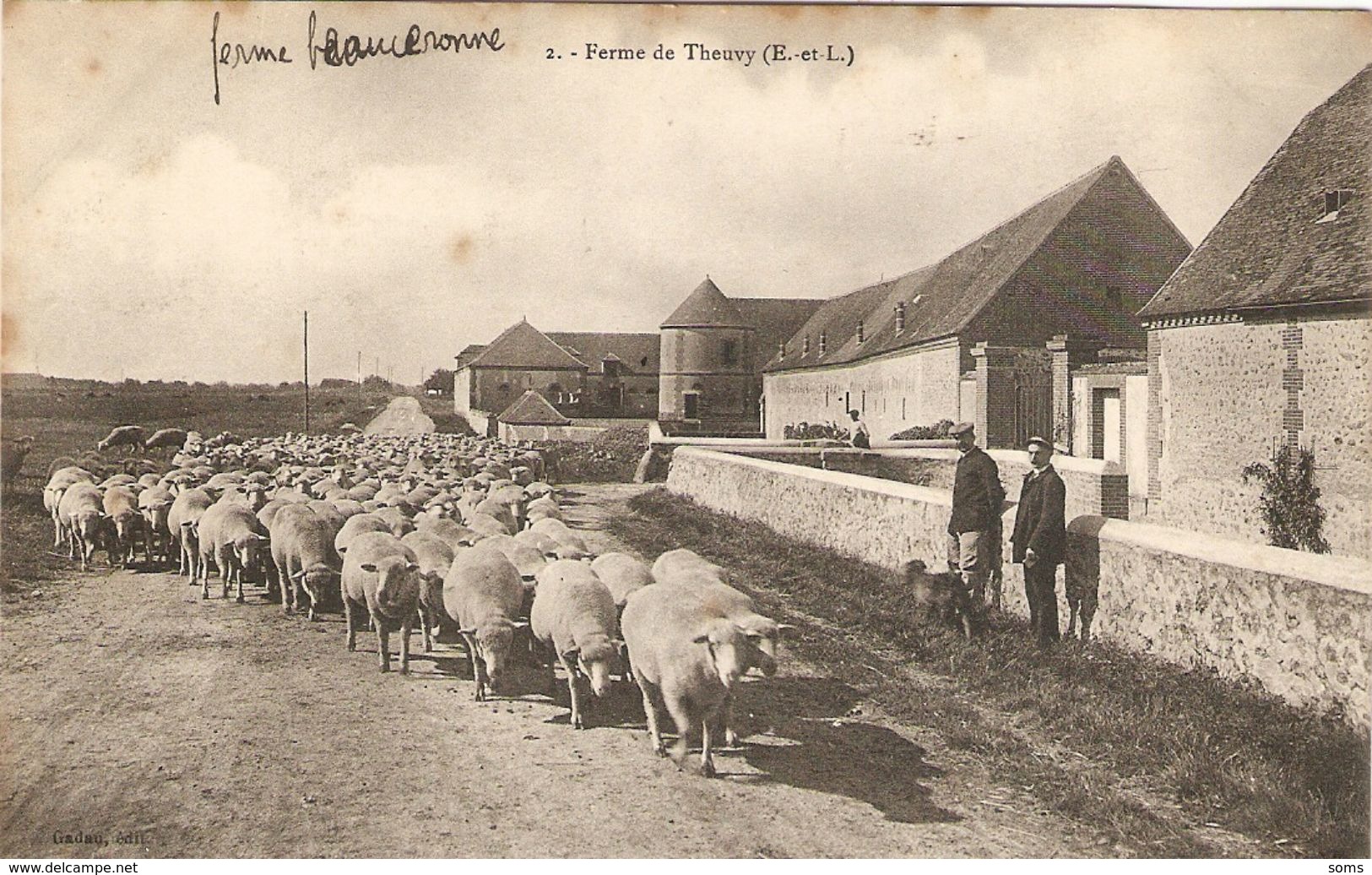 Cpa Animée De La Beauce (28), Ferme De Theuvy, éd. Gadau 2, Moutons Sur La Route - Autres & Non Classés