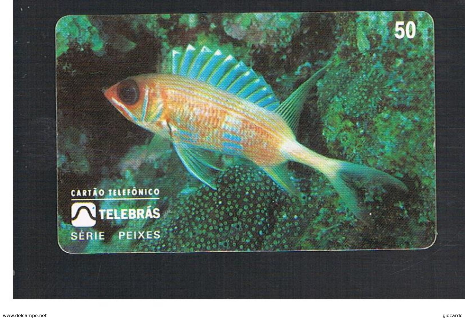 BRASILE ( BRAZIL) - TELEBRAS   -   1995  FISHES: HELOCENTRUS ASCENCIONIS  - USED - RIF.10494 - Peces