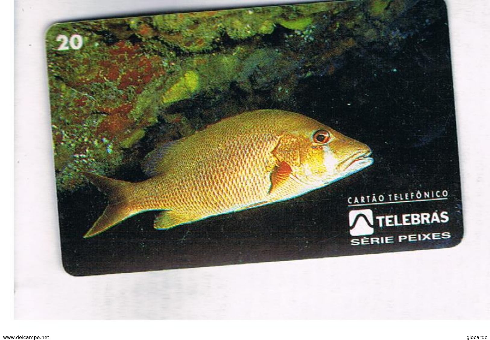 BRASILE ( BRAZIL) - TELEBRAS   -   1995  FISHES: LUTJANUS JOCU  - USED - RIF.10494 - Peces