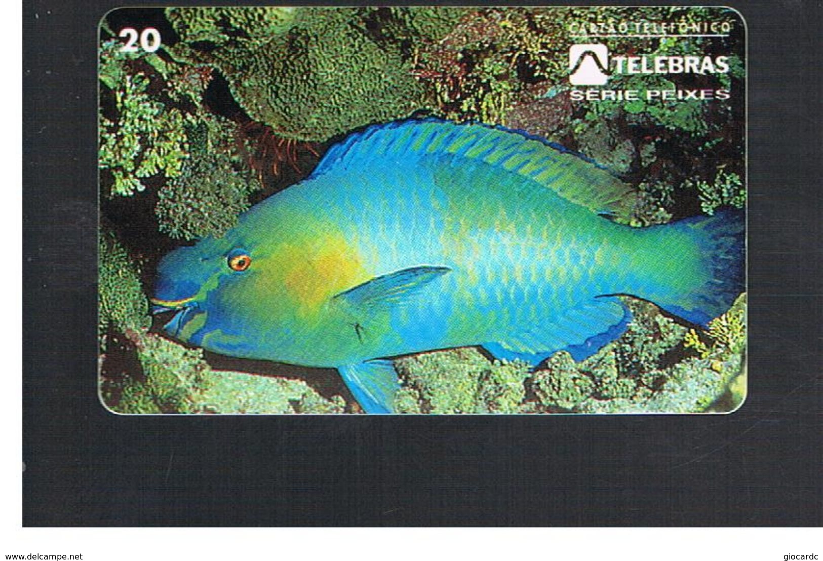 BRASILE ( BRAZIL) - TELEBRAS   -   1995  FISHES: SCARUS GUACAMAIIA                     - USED - RIF.10495 - Peces