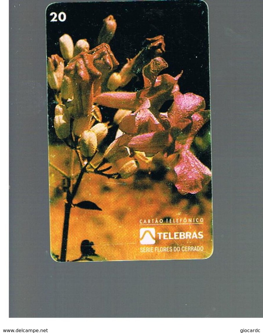 BRASILE ( BRAZIL) - TELEBRAS   -   1995  PLANTS: ARRABIDAEA                     - USED - RIF.10495 - Fleurs