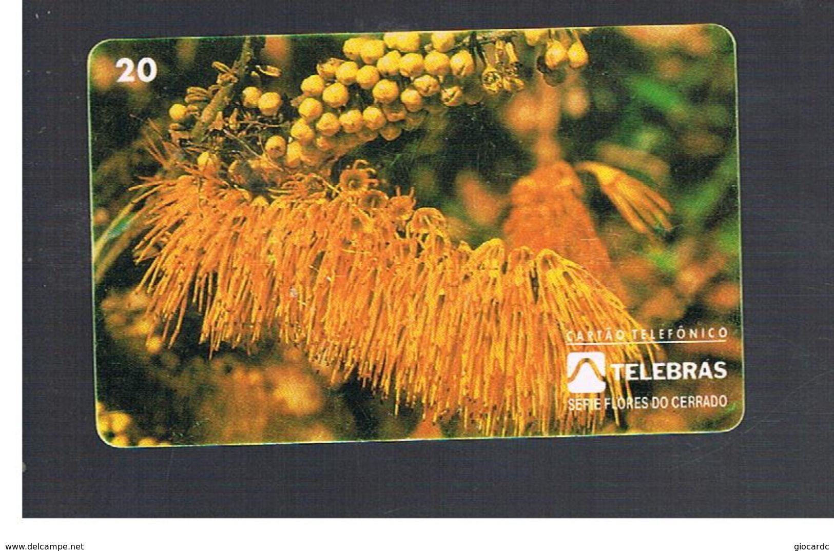BRASILE ( BRAZIL) - TELEBRAS   -   1995  PLANTS: COMBRETUM                  - USED - RIF.10497 - Fleurs