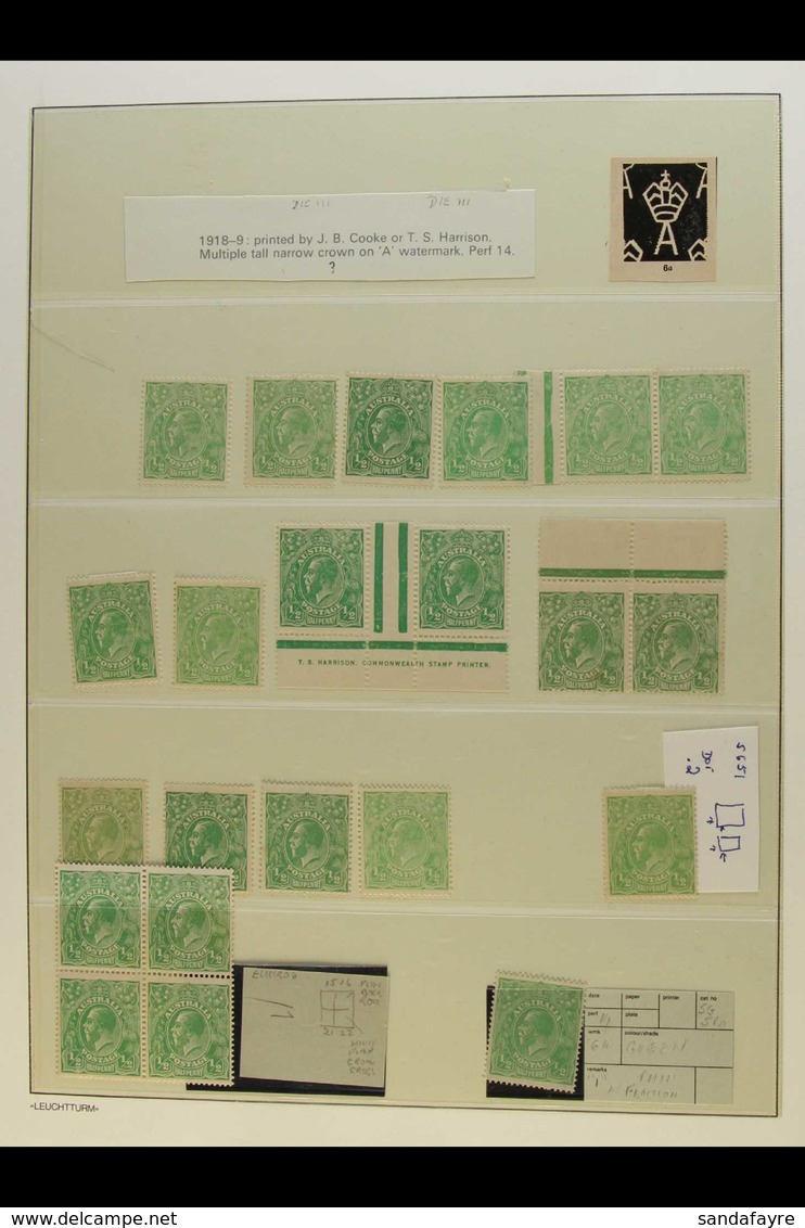 1918-20 HEADS ON MULTIPLE WATERMARK PAPER, FINE MINT STUDY COLLECTION An Attractive Lot With ½d Shades (15, Incl. Dark B - Autres & Non Classés