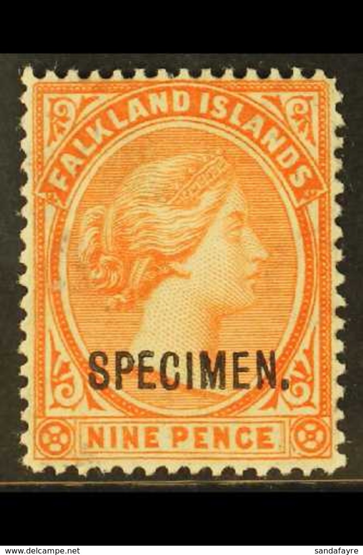 1891 - 1902 9d Salmon, SG 36, Overprinted "Specimen", Very Fine Mint. For More Images, Please Visit Http://www.sandafayr - Falklandeilanden