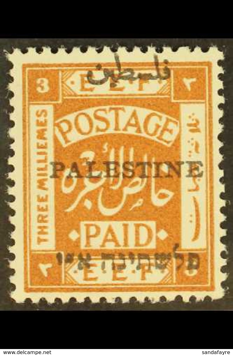 1920 3m Chestnut Overprint Perf 14, SG 28, Very Fine Mint, Fresh. For More Images, Please Visit Http://www.sandafayre.co - Palestine