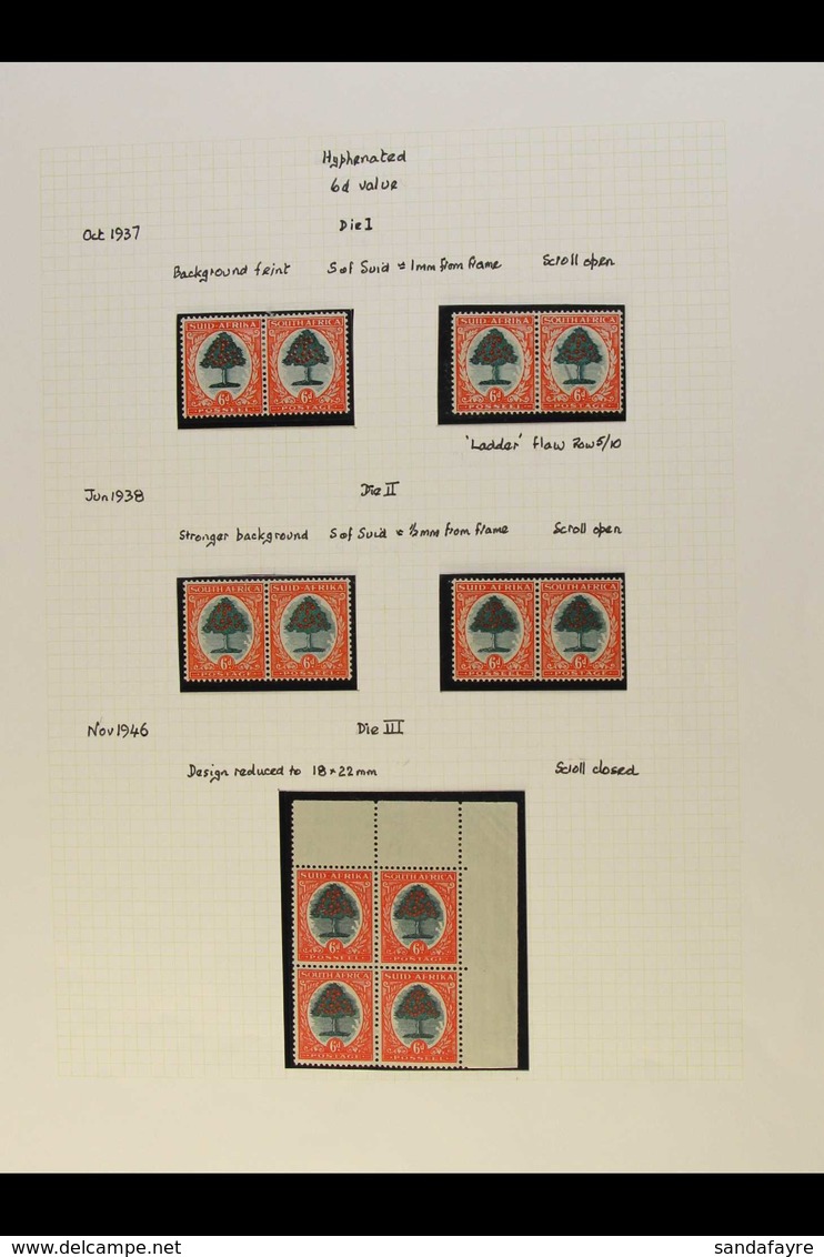 1933-48 HYPHENATED DEFINITIVES 6d COLLECTION Presented On Written Up Pages & Includes The 6d All Three Dies In Mint & Us - Non Classés