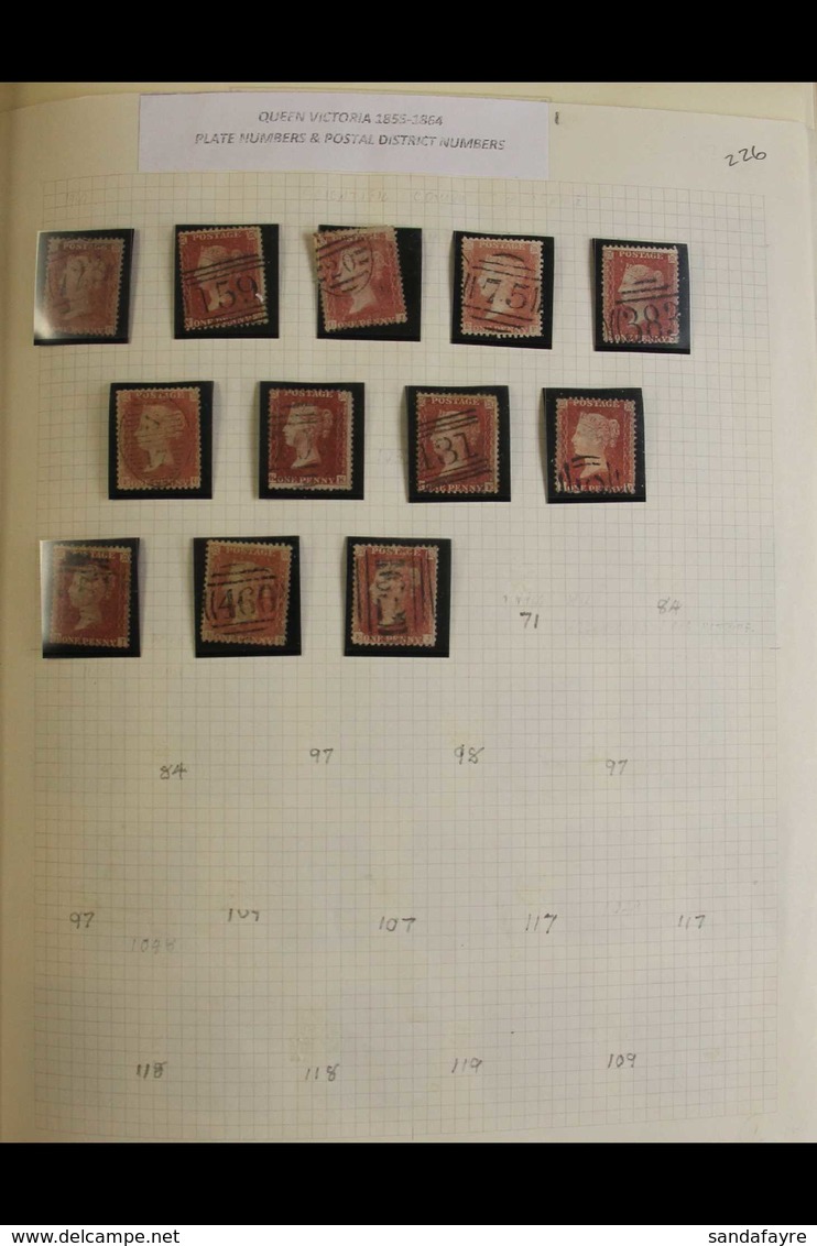 1854-1879 PENNY RED ACCUMULATION. Each Stamp Presented In Mounts On Recycled Album Pages In A Spring Back Binder. A Part - Other & Unclassified