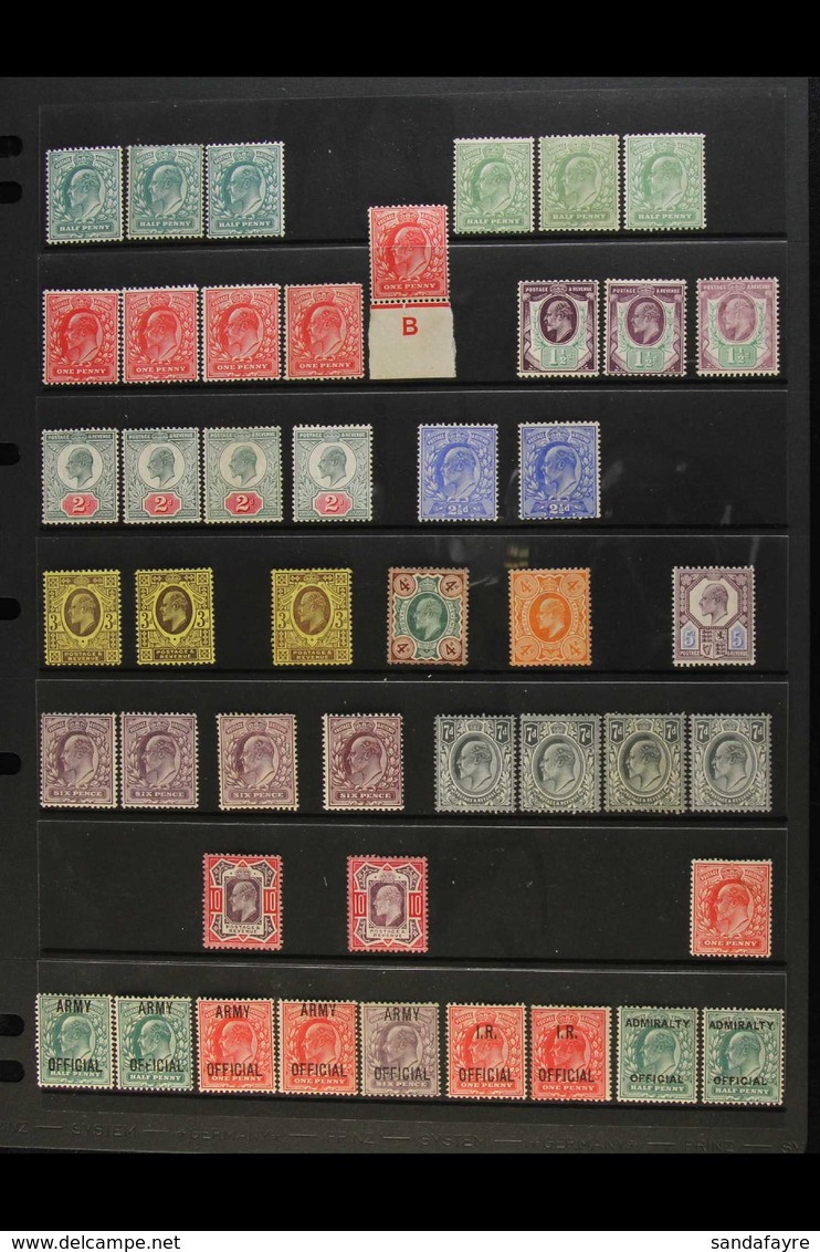 1902-11 MINT RANGE With Shades & Paper Types On A Stock Page, Comprising ½d (x6), 1d (x6), One With Control 'B' & One Pe - Unclassified