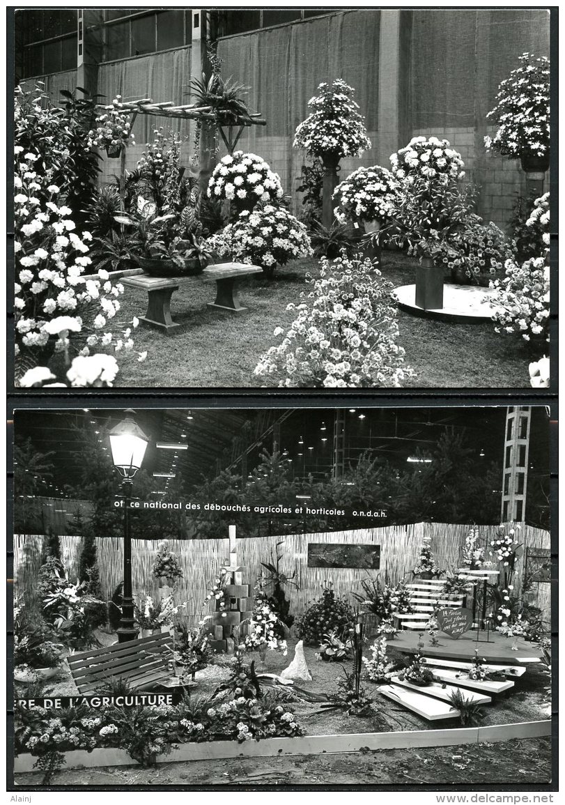 CP   Liège   ---   1968  --  Floralies Liégeoises  --  7 Cartes - Liege