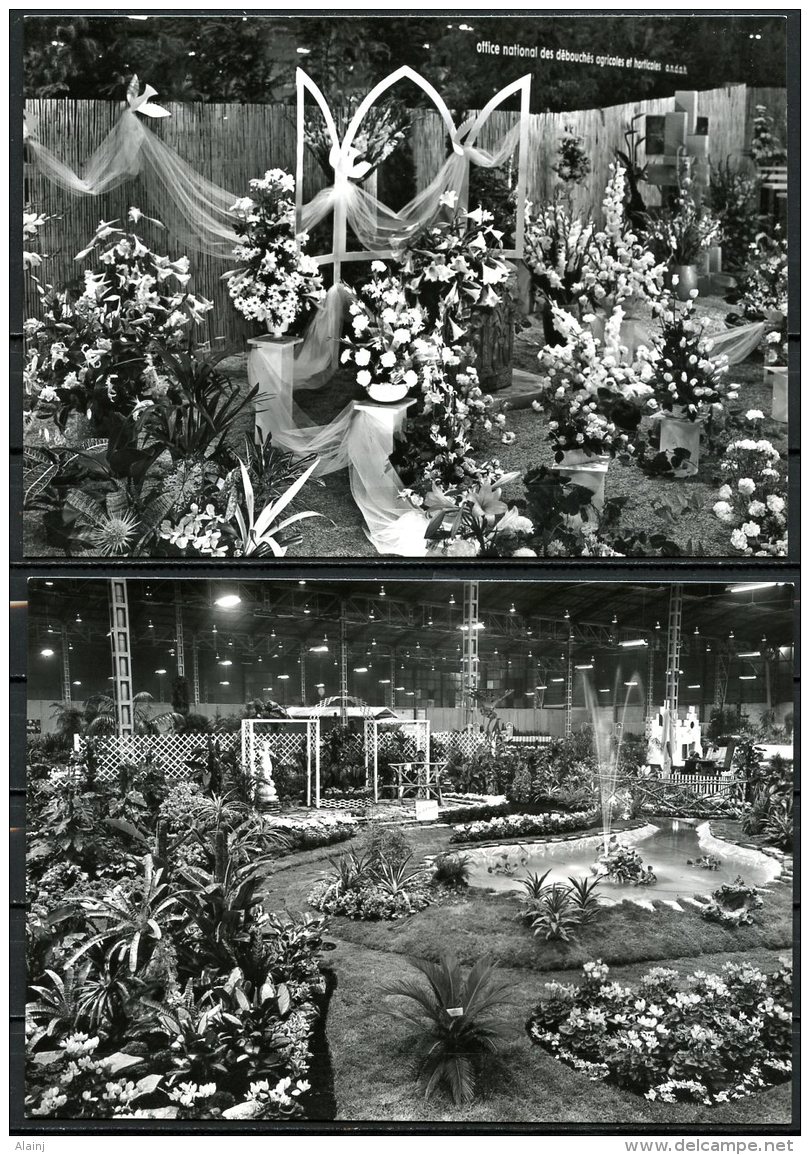 CP   Liège   ---   1968  --  Floralies Liégeoises  --  7 Cartes - Liege