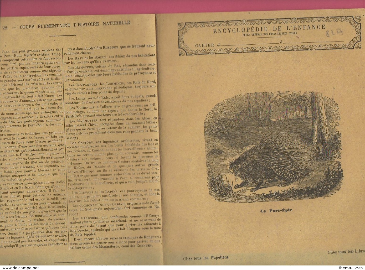 Couverture Illustrée De Cahier D'écolier : Encyclopédie De L'enfance N°28 Le Porc épic (M2278) - Protège-cahiers