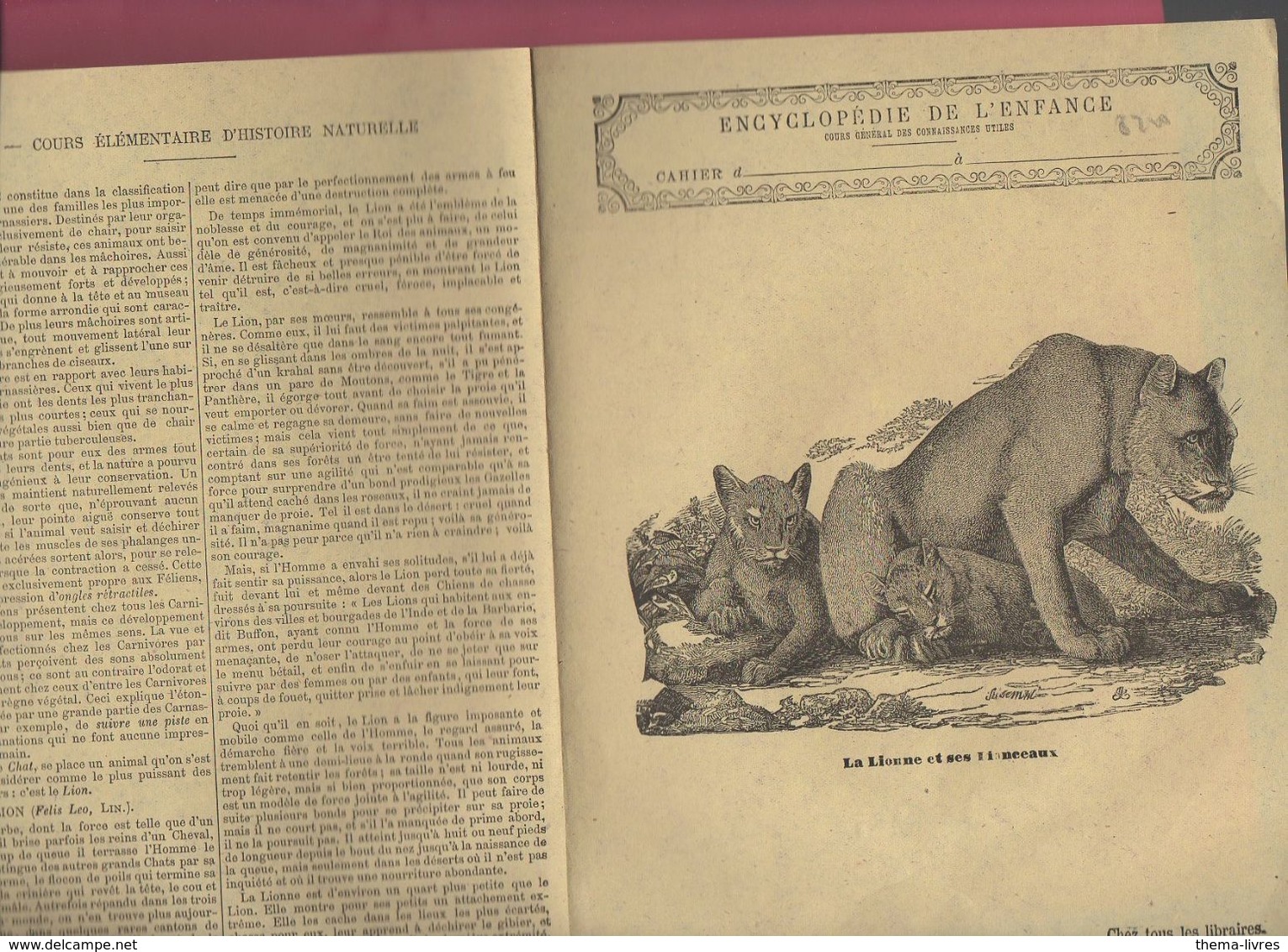 Couverture Illustrée De Cahier D'écolier : Encyclopédie De L'enfance N°6 La Lionne Et Ses Lionceaux  (PPP8220) - Tiere