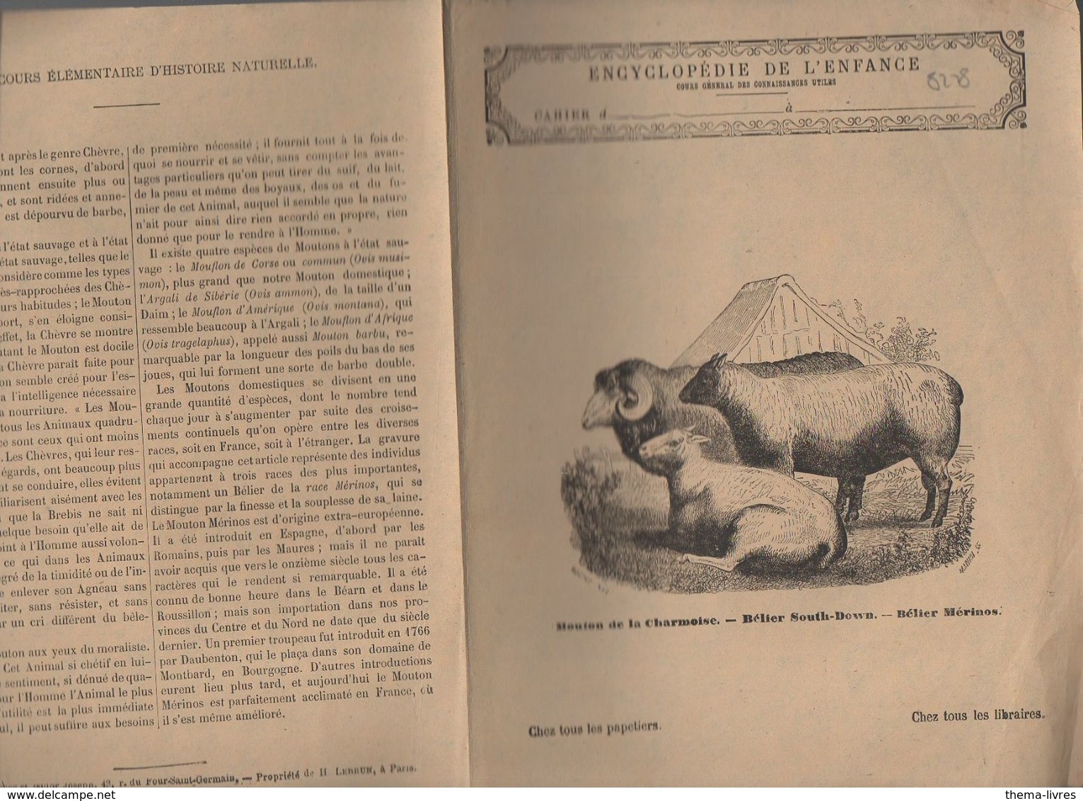 Couverture Illustrée De Cahier D'écolier : Encyclopédie De L'enfance N°66 Moutons Et Béliers Divers (M2287) - Protège-cahiers