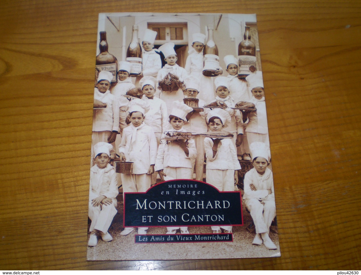 Montrichard, Loir Et Cher: Montrichard Et Son Canton: + De 200 Illustrations,photos, Cartes Postales - Centre - Val De Loire