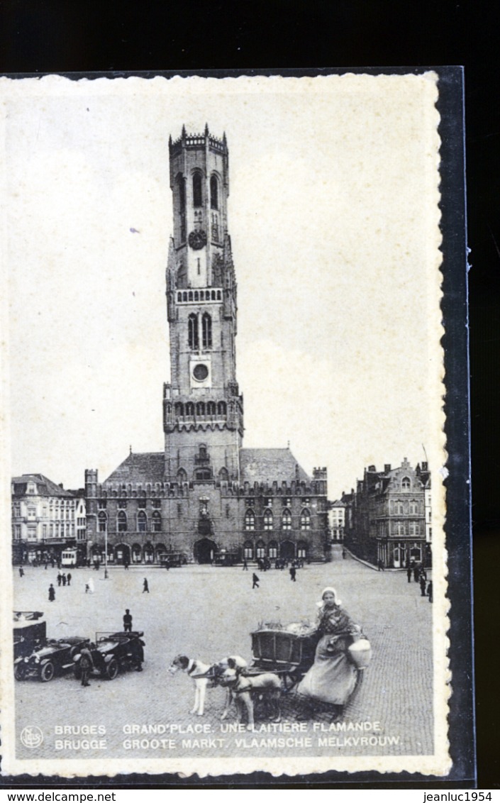 BRUGGES ATTELAGE DE CHIENS - Cafés, Hôtels, Restaurants