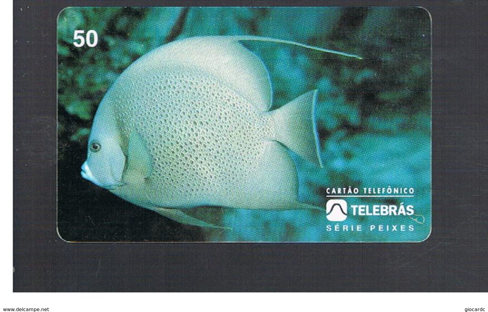 BRASILE ( BRAZIL) - TELEBRAS   -   1995  FISHES: POMACANTHUS ARCUATUS           - USED - RIF.10497 - Peces