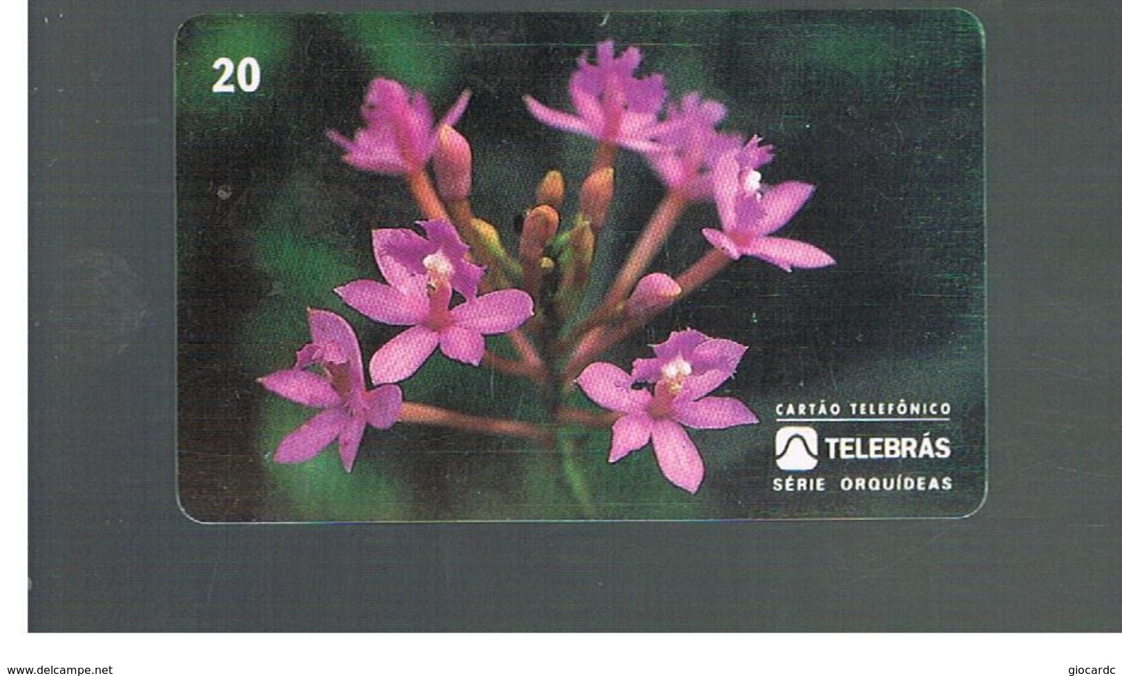 BRASILE ( BRAZIL) - TELEBRAS   -   1995  FLOWERS: ORCHID EPIDENDRUM       - USED - RIF.10498 - Fleurs