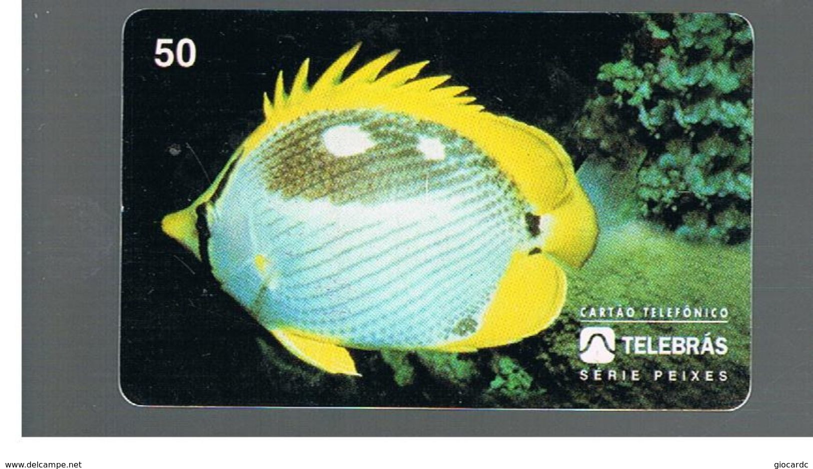 BRASILE ( BRAZIL) - TELEBRAS   -   1995  FISHES: CHAETEDON OCELLATUS - USED - RIF.10503 - Peces