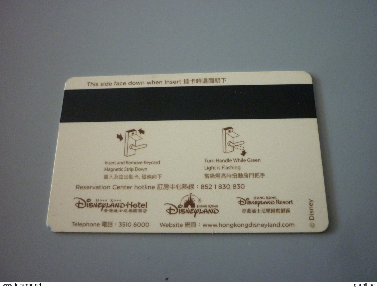 Hong Kong Disneyland Hotel Room Card (bear) - Disney
