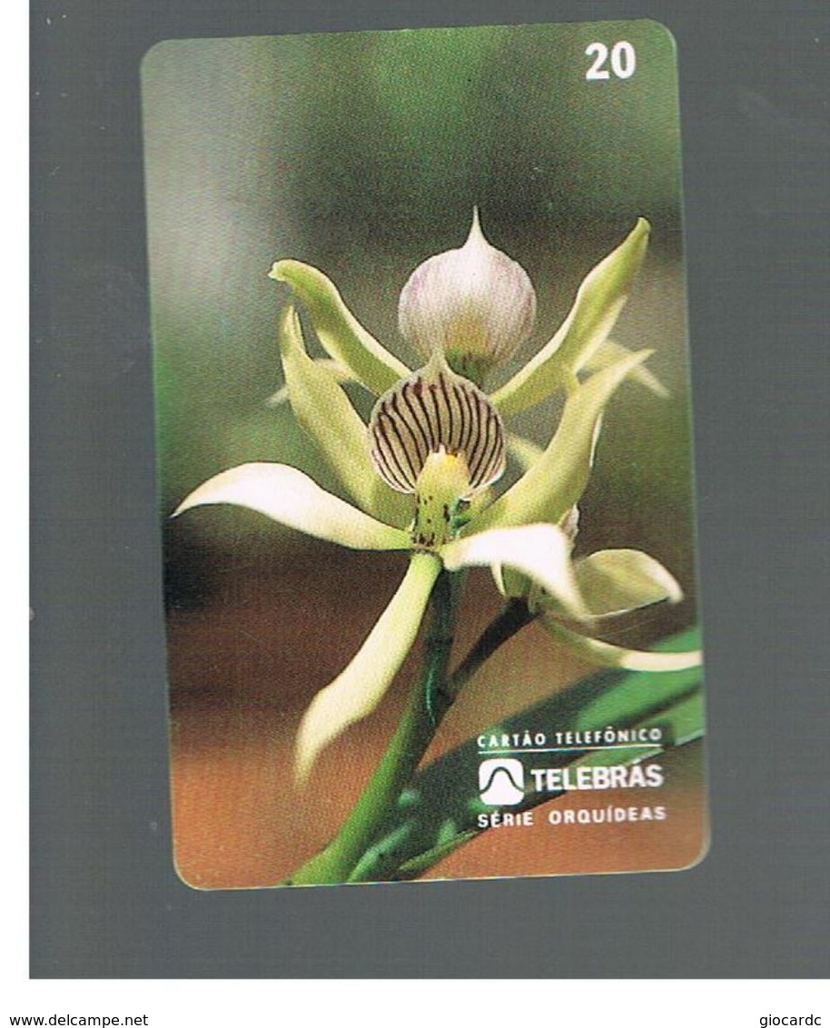 BRASILE ( BRAZIL) - TELEBRAS   -   1995  FLOWERS: ORCHID EPIDENDRUM FRAGRANS      - USED - RIF.10503 - Fleurs