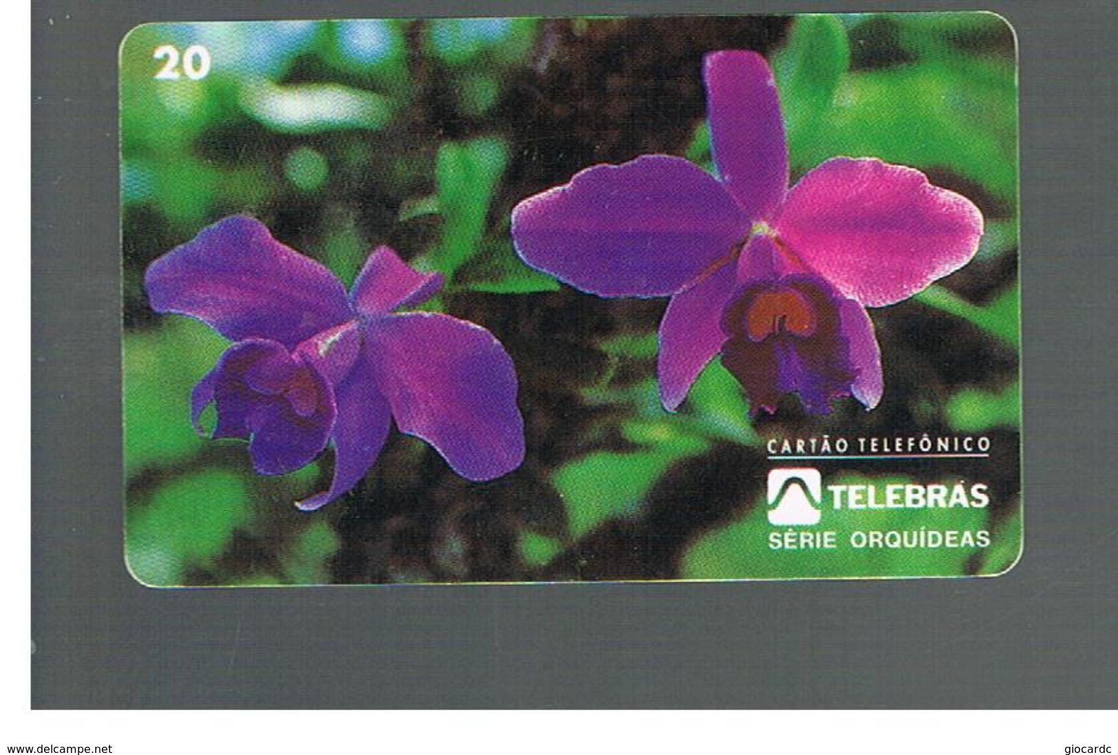 BRASILE ( BRAZIL) - TELEBRAS   -   1995  FLOWERS: ORCHID LAELIA PUMILLA      - USED - RIF.10505 - Fleurs