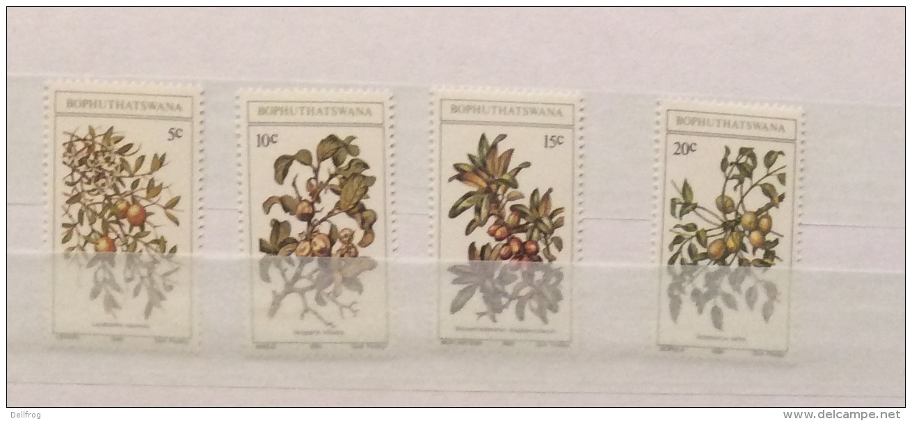 BOPHUTHATSWANA 1979  WILD FRUITS 1981 GRASSES  1984 GRASSES SETS MNH - Bophuthatswana