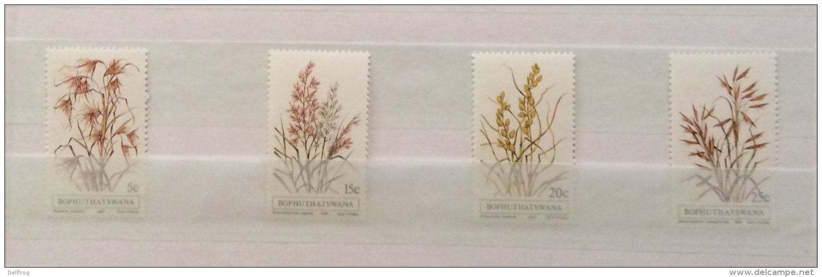 BOPHUTHATSWANA 1979  WILD FRUITS 1981 GRASSES  1984 GRASSES SETS MNH - Bophuthatswana