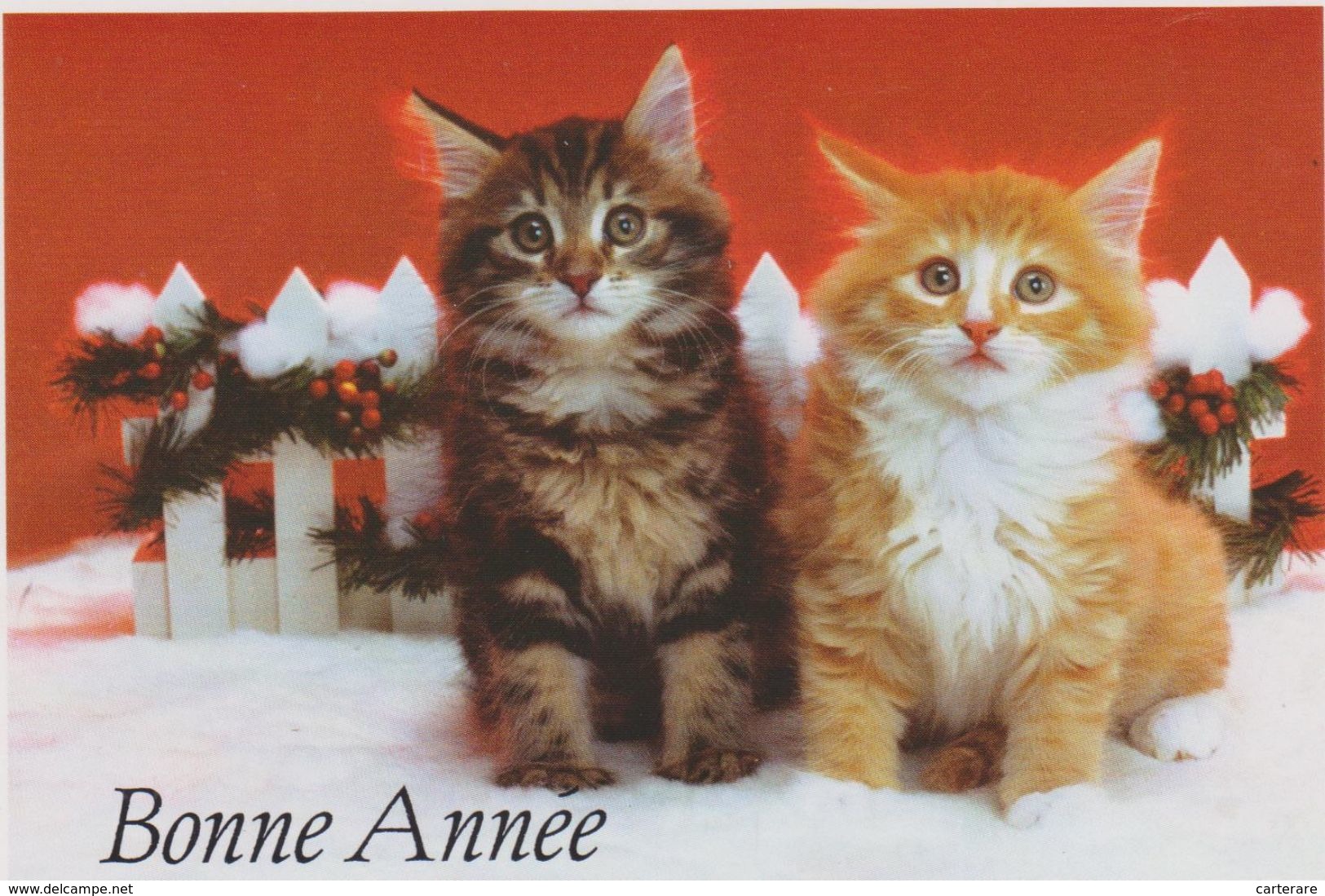 Carte Bonne Année,avec Chat,frere,cat,chaton,cha Sseur De Souris,tres Affectueux - Cats