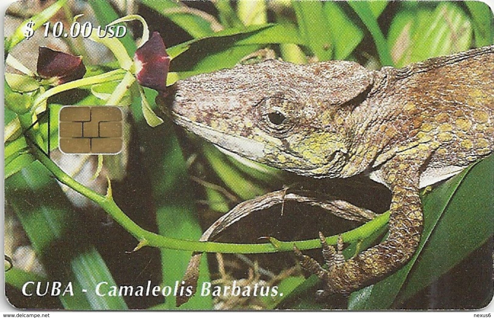 Cuba - Etecsa - Chameleon - CU-087 - 05.2000, 30.000ex, Used - Cuba