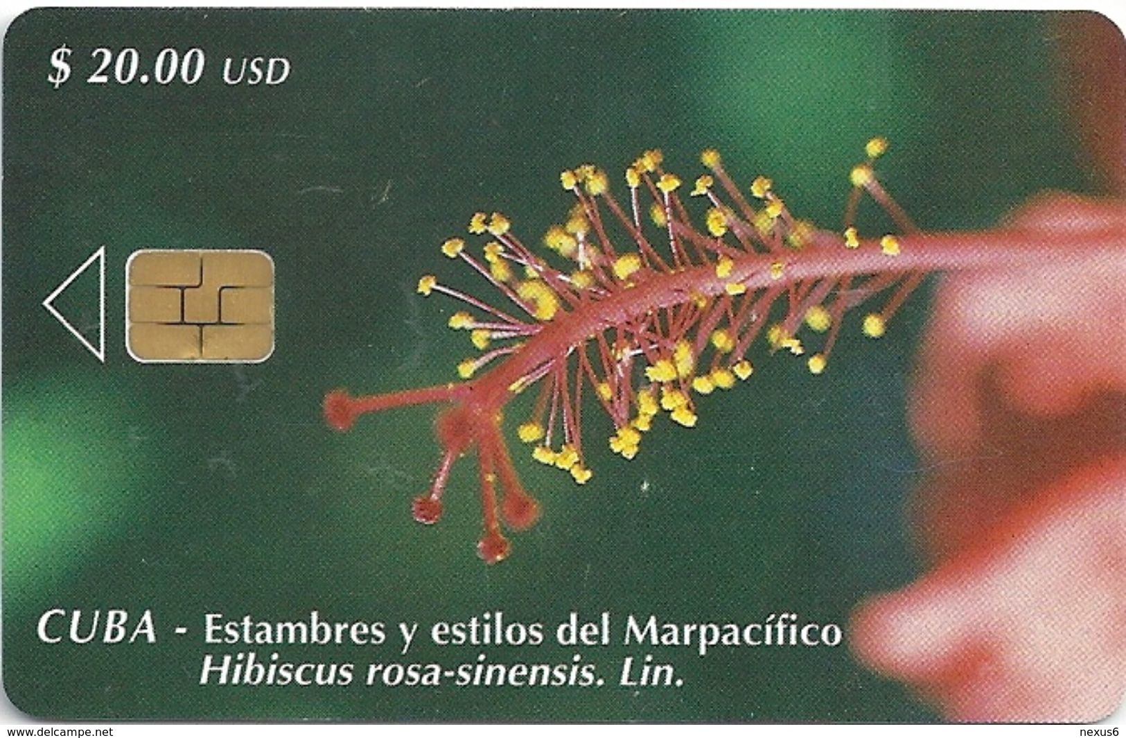 Cuba - Etecsa - Hibiskus Flower - CU-089 - 10.2000, 30.000ex, Used - Cuba