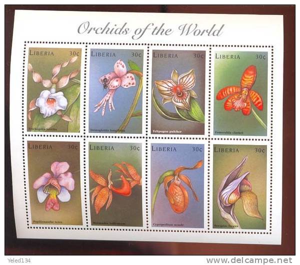 LIBERIA  1449  MINT NEVER HINGED MINI SHEETS OF FLOWERS - ORCHIDS  ( - Orchideeën