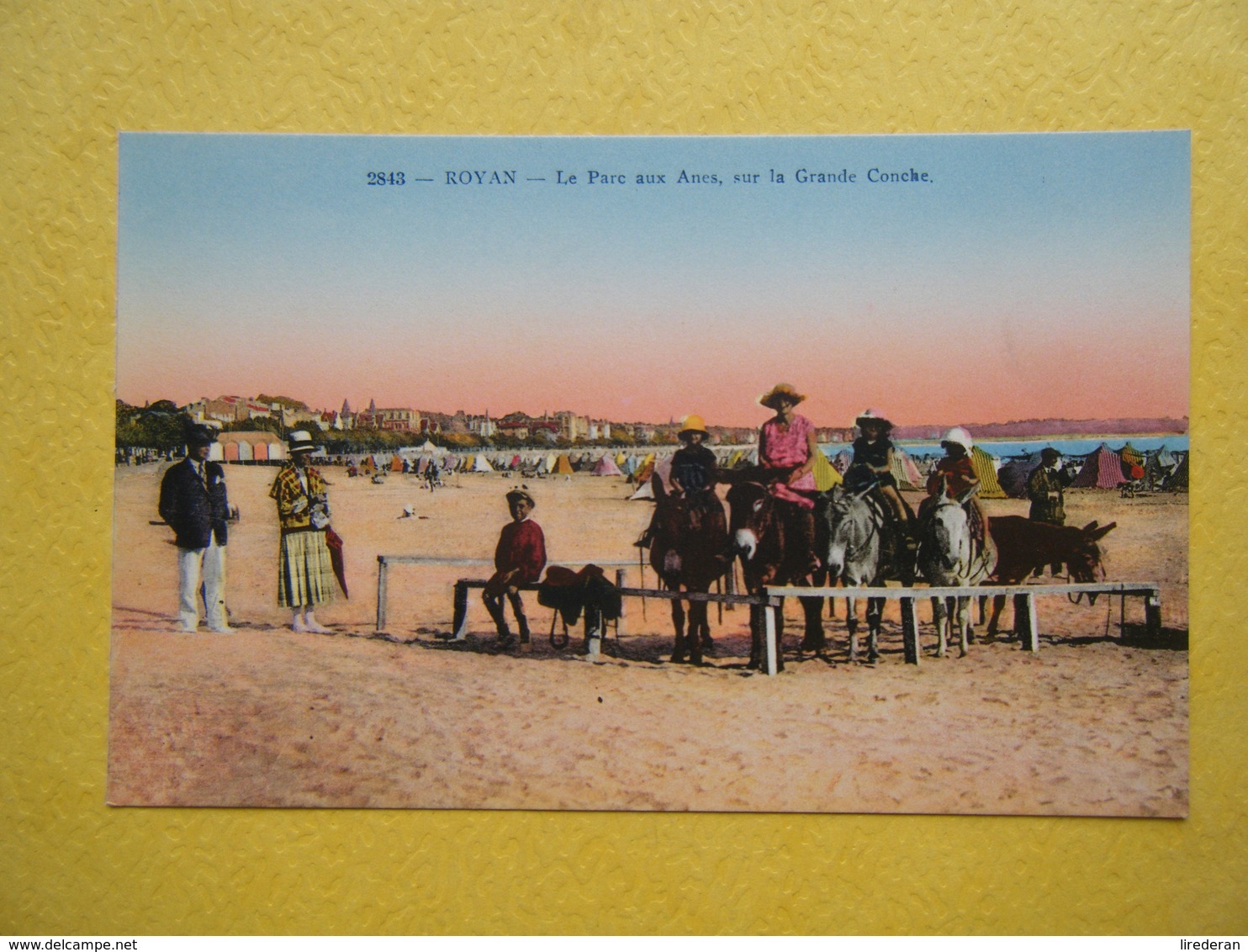 ROYAN. Le Parc Aux Ânes Sur La Grande Conche. - Royan