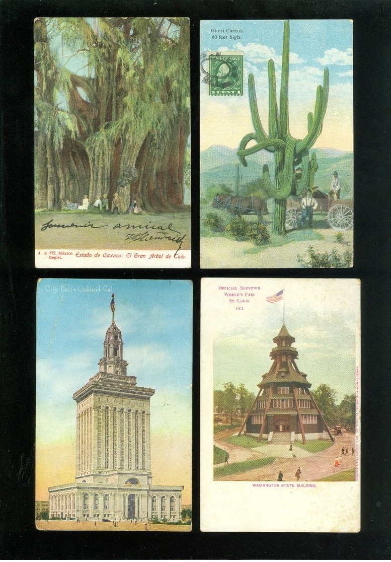 Beau lot de 60 cartes postales d' Amérique  America  Mooi lot van 60 postkaarten van Amerika