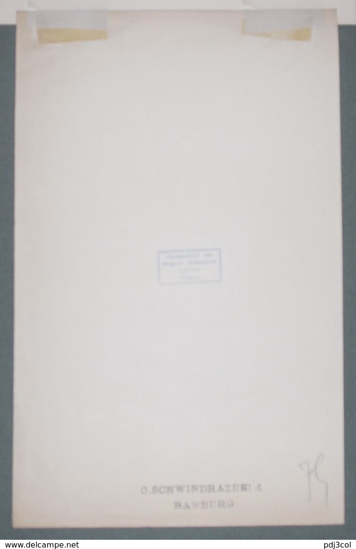 Ex-libris Moderne XXème Illustré -  Allemagne - Dr. WASSERMANN - Ex-Libris